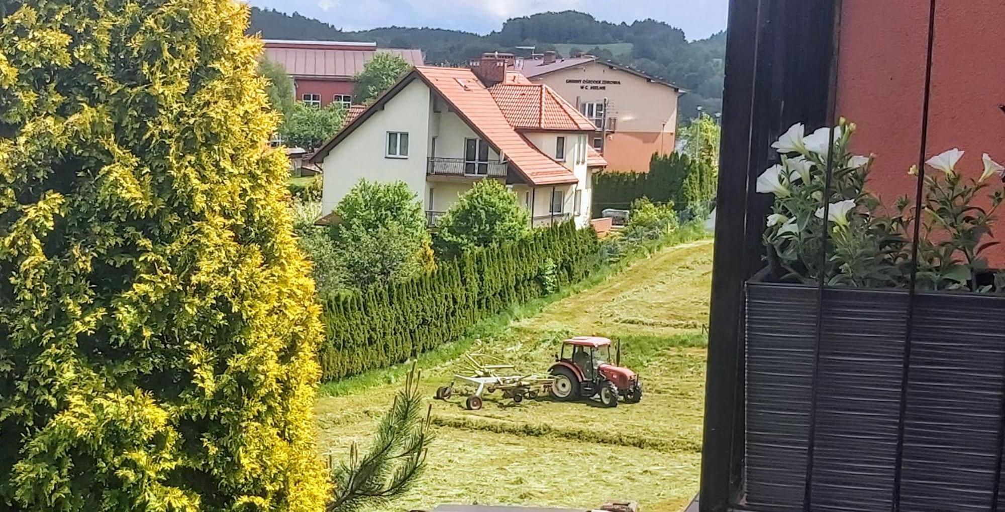Dom Pod Grusza Apartment *